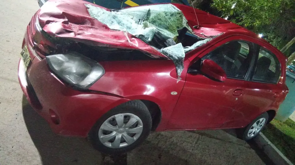 Imagen de WhatsApp 2024-11-05 a las 09.31.39_e79f7889