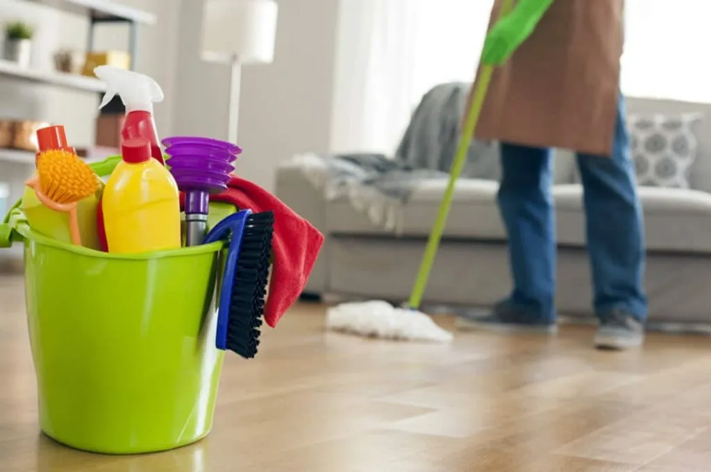 Empleadas-Domesticas