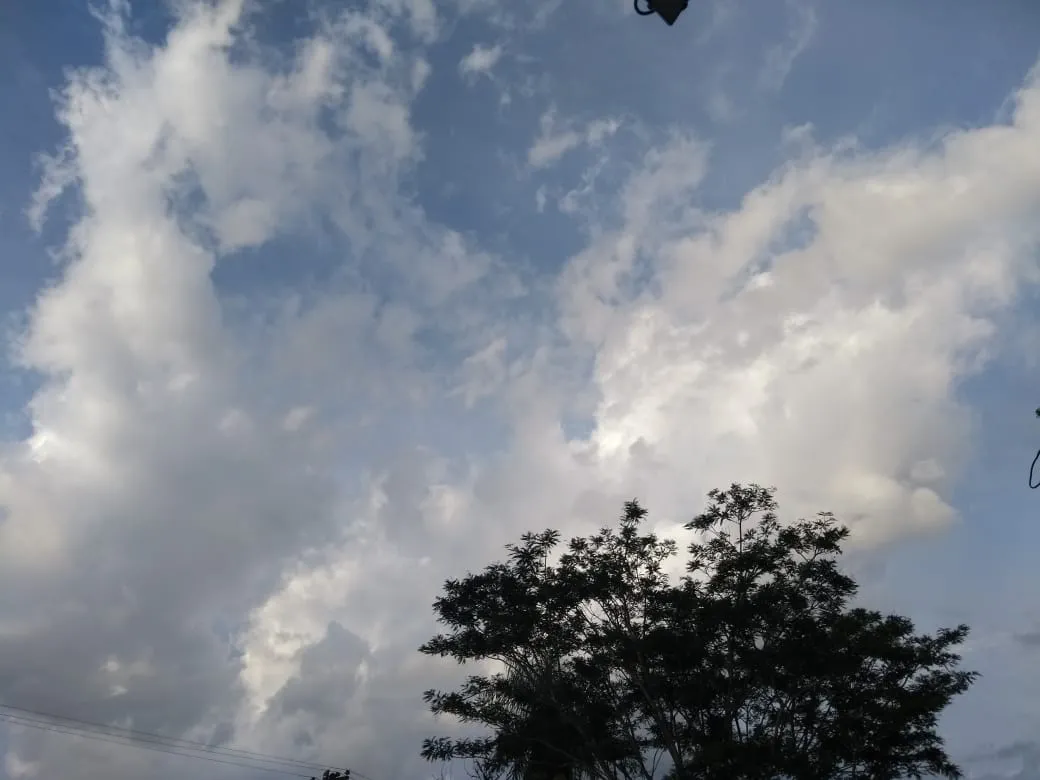 WhatsApp-Image-2021-02-15-at-7.20.32-AM