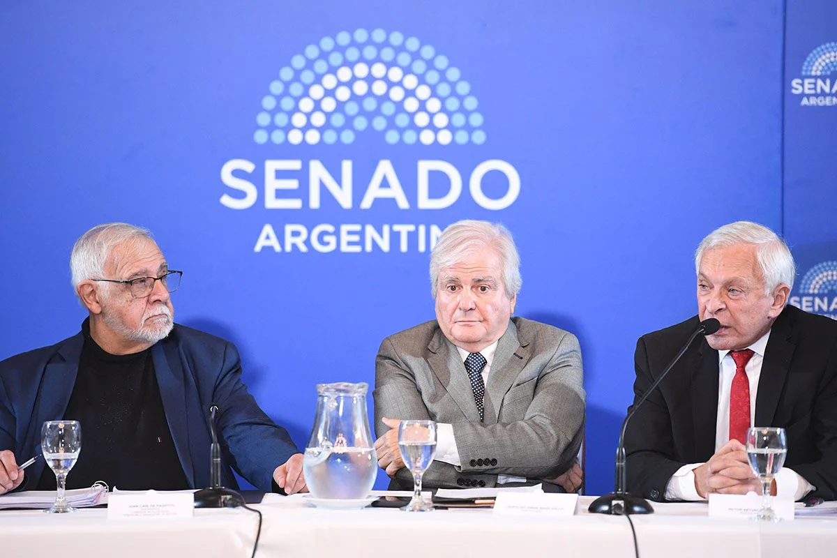 comisión-de-acuerdos-del-Senado-por-el-pliego-del-juez-Pesino-2