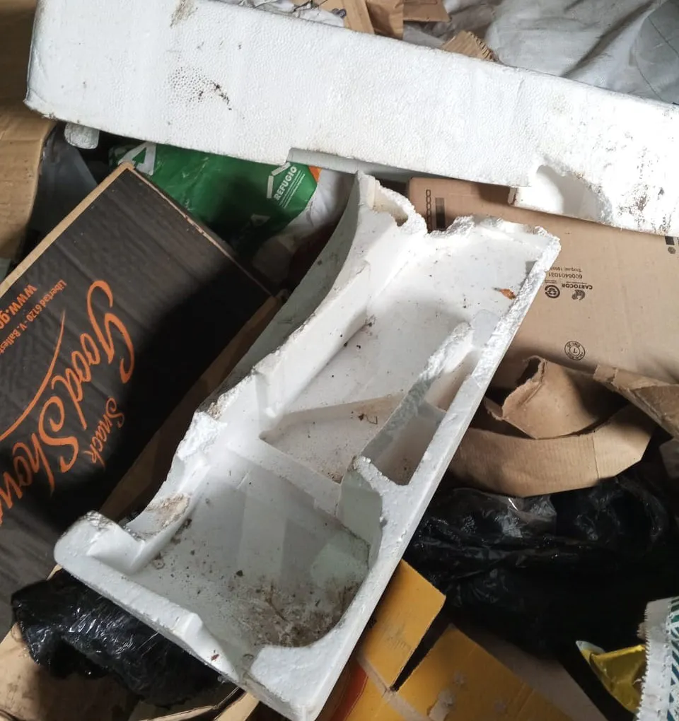 486424154_1096264492541651_5988137522029108495_n