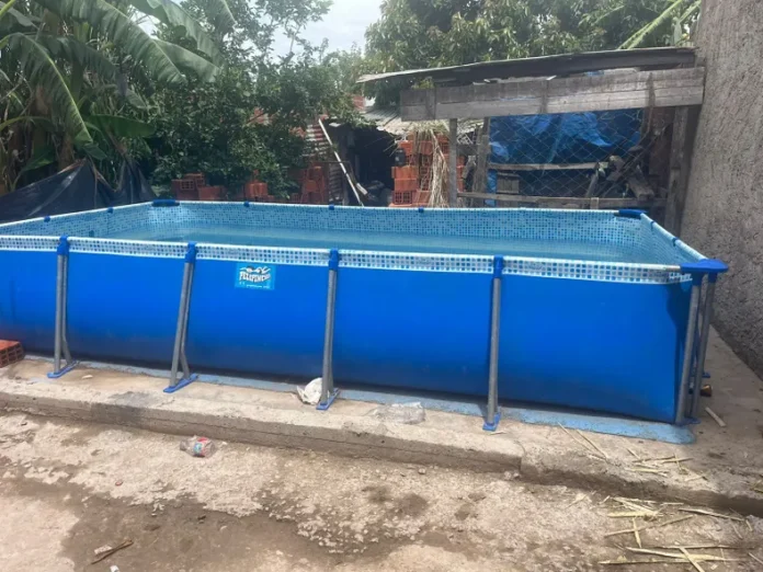 pileta-intento-ahogar-mujer-bssojpeg-696x522