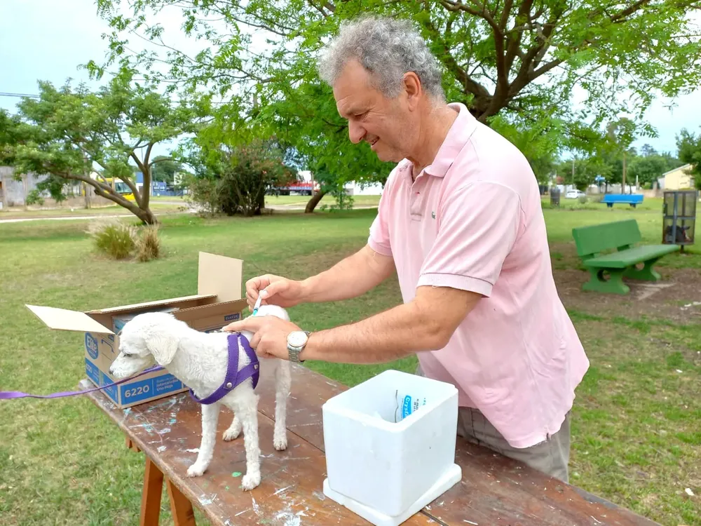 WhatsApp Image 2023-10-06 at 08.49.46