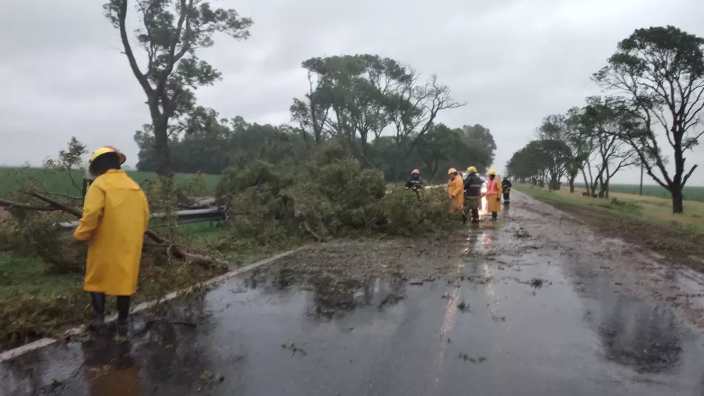 255937250_4485393838222227_1410961533531729762_n