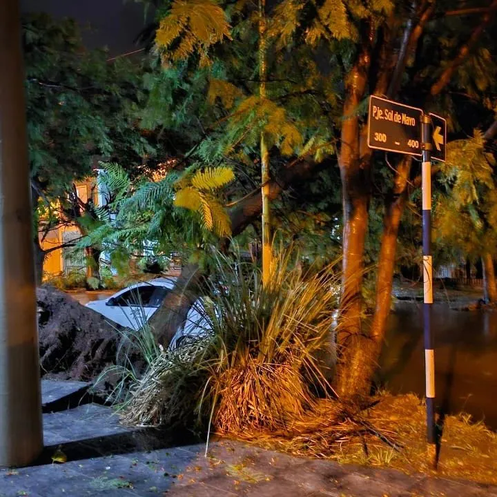 432866229_937487571111040_4623547075994864505_n