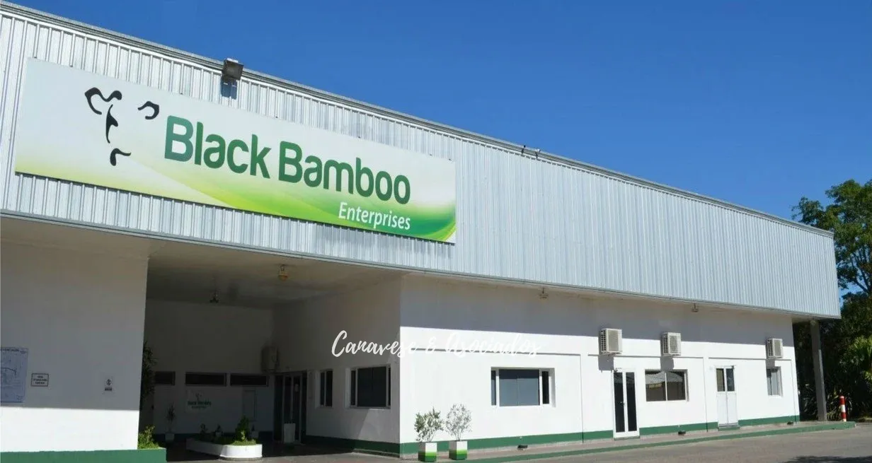 KSbXV0UI6_1300x655__2