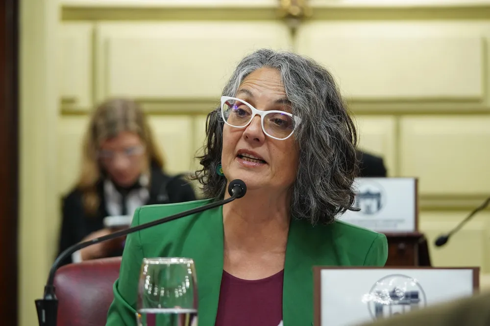 Diputados aprobó un protocolo de asistencia a mujeres en la nocturnidad