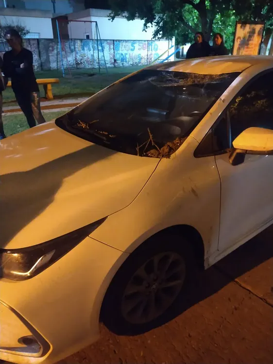 cfa48cbd-77d4-423b-b498-dfd71a399617