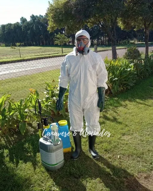 441502529_18136012180327145_7459639224371396353_n