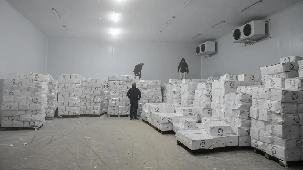 2024-12-06NID_281862O_3