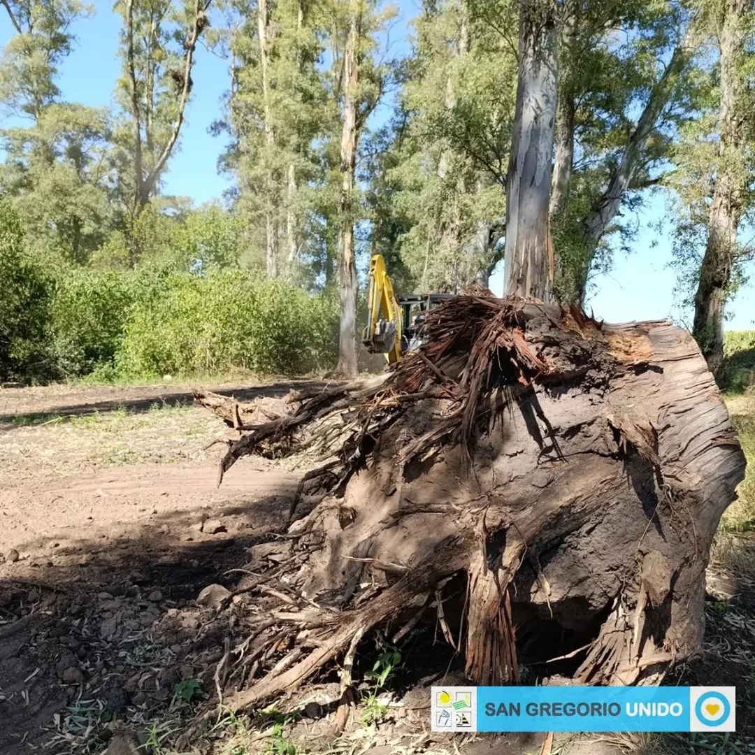 Nos encontramos trabajando junto a ESTACION ECUESTRE en el armado del predio destinado a equitación. Dentro de los trabajos planteados por la Asociación, comenzamos con las tareas de limpieza dentro del sec (1)