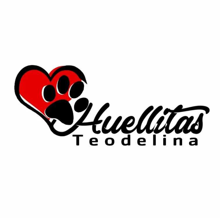 32727644_229426211165881_2266625688603721728_n