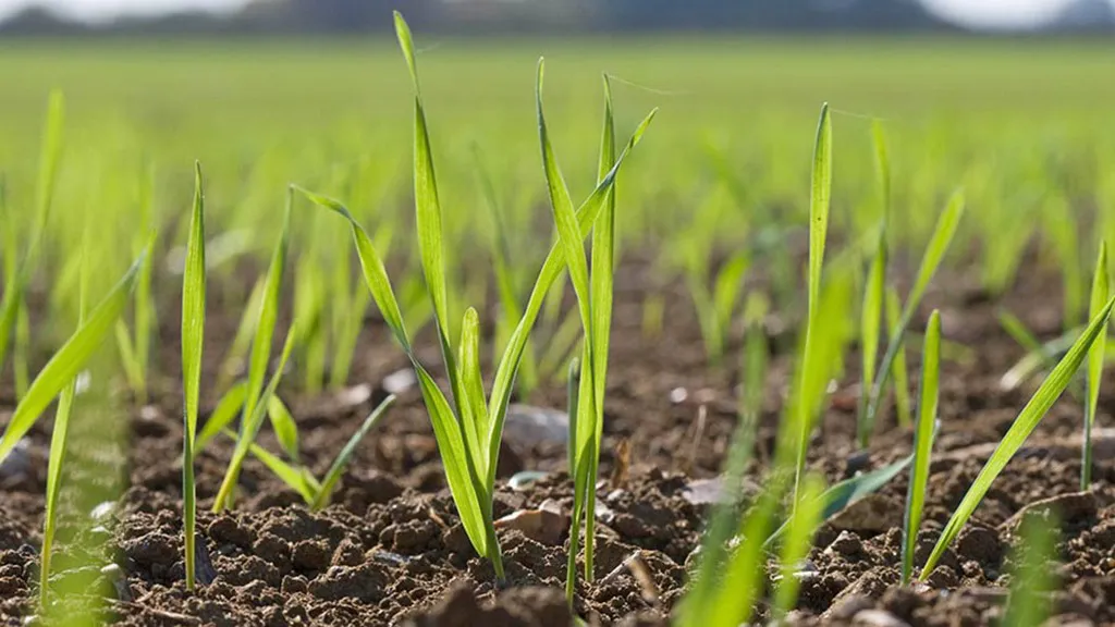 WhatsApp Image 2024-07-15 at 10.36.46