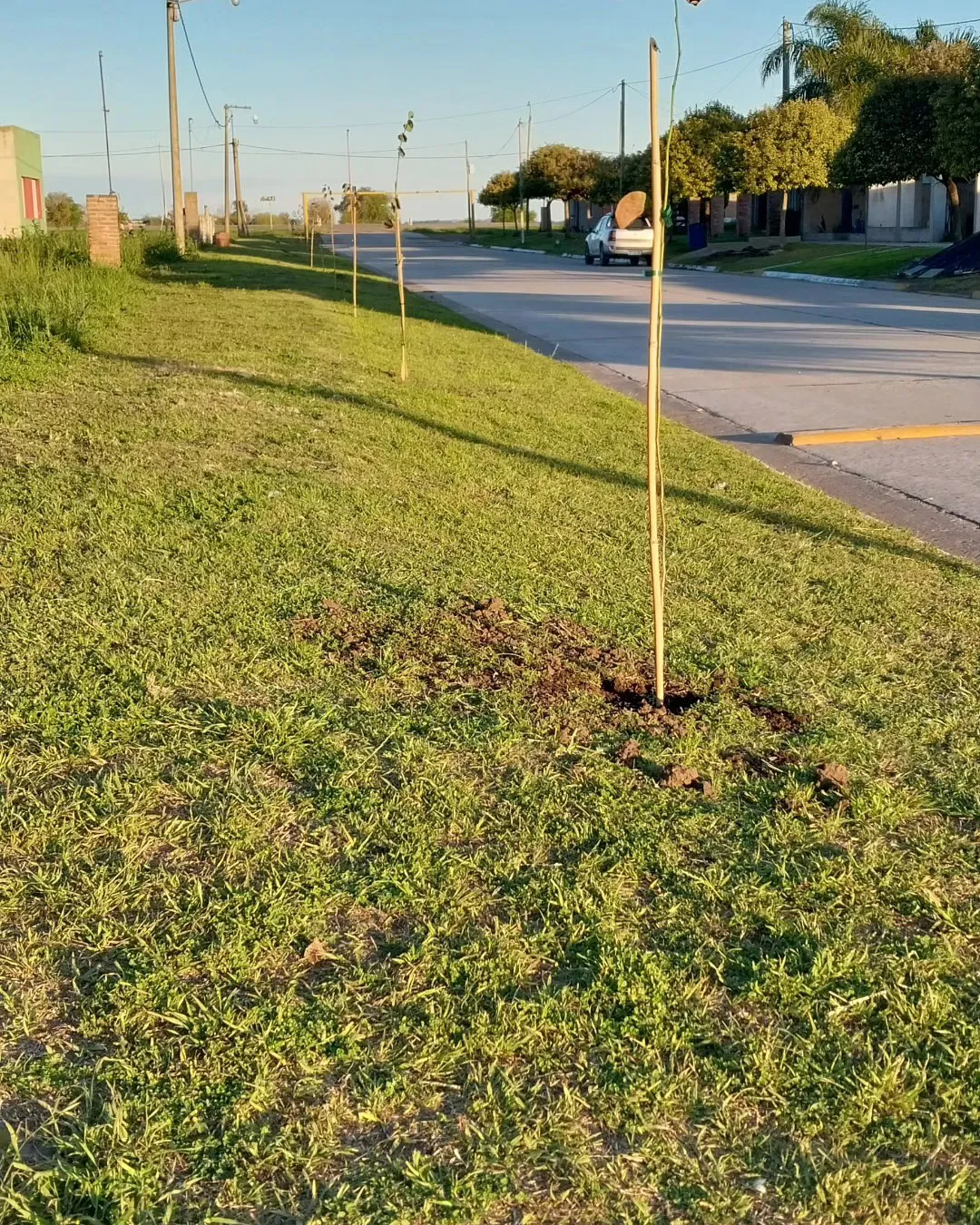 393599205_641675968149672_9107013392595372092_n