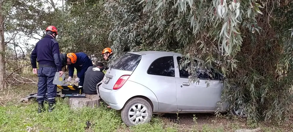 ford_ka