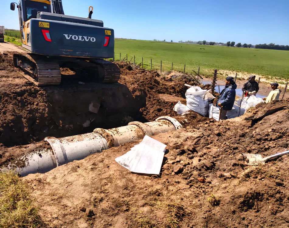 WhatsApp Image 2025-09-25 at 9.48.37 AM