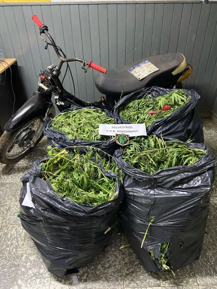 IMG-20250207-WA0074-696x928-1