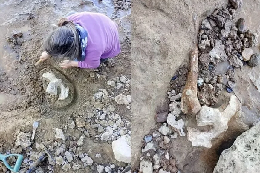 2GnLvSCOe_870x580__1