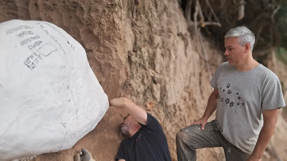 2025-05-07NID_282955O_1