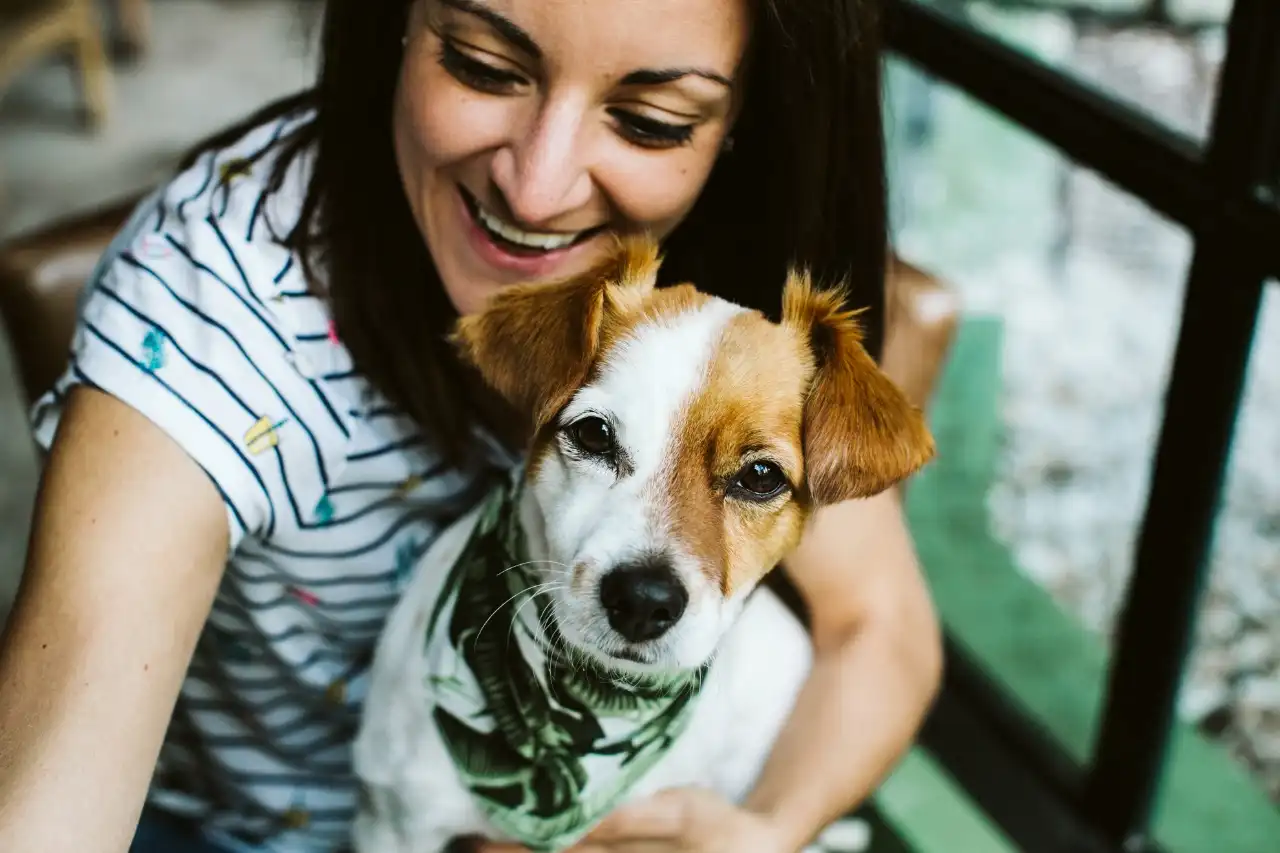 07486a27-7686-47c8-9613-21d947adb19d