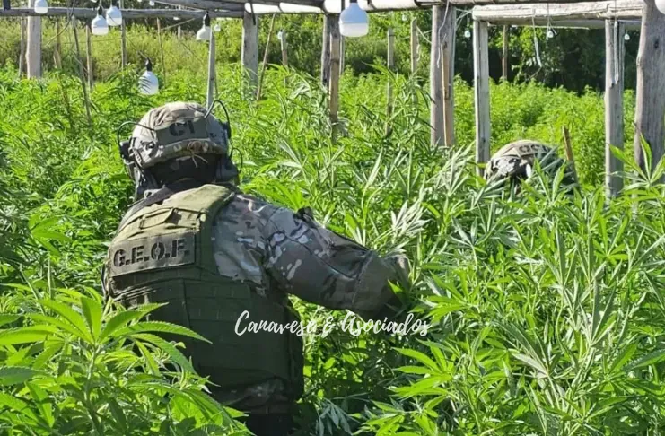 SM-vivero-narco-010324