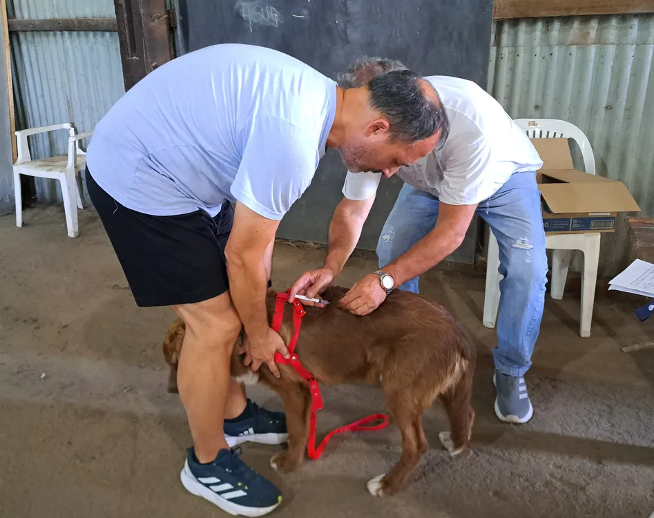 WhatsApp Image 2026-03-17 at 11.42.56 AM (1)